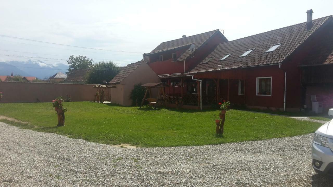 Casa Suzy & Roxy Apartment Arpasu de Jos Exterior photo