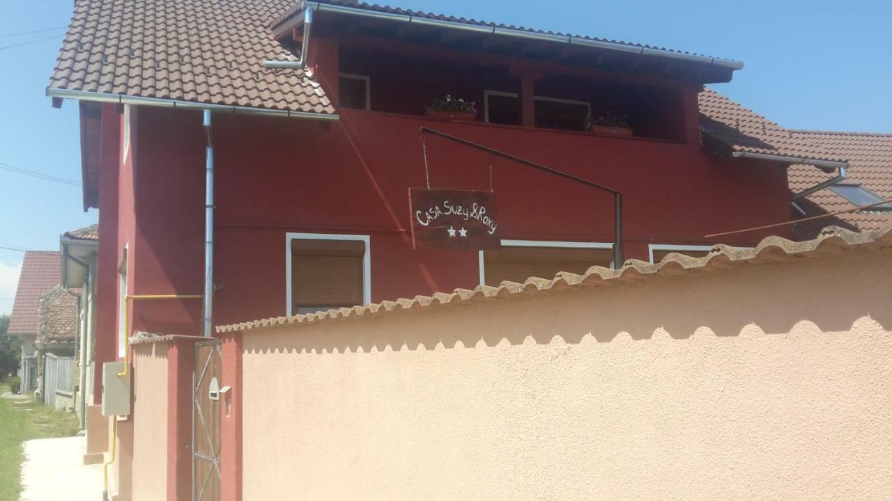 Casa Suzy & Roxy Apartment Arpasu de Jos Exterior photo