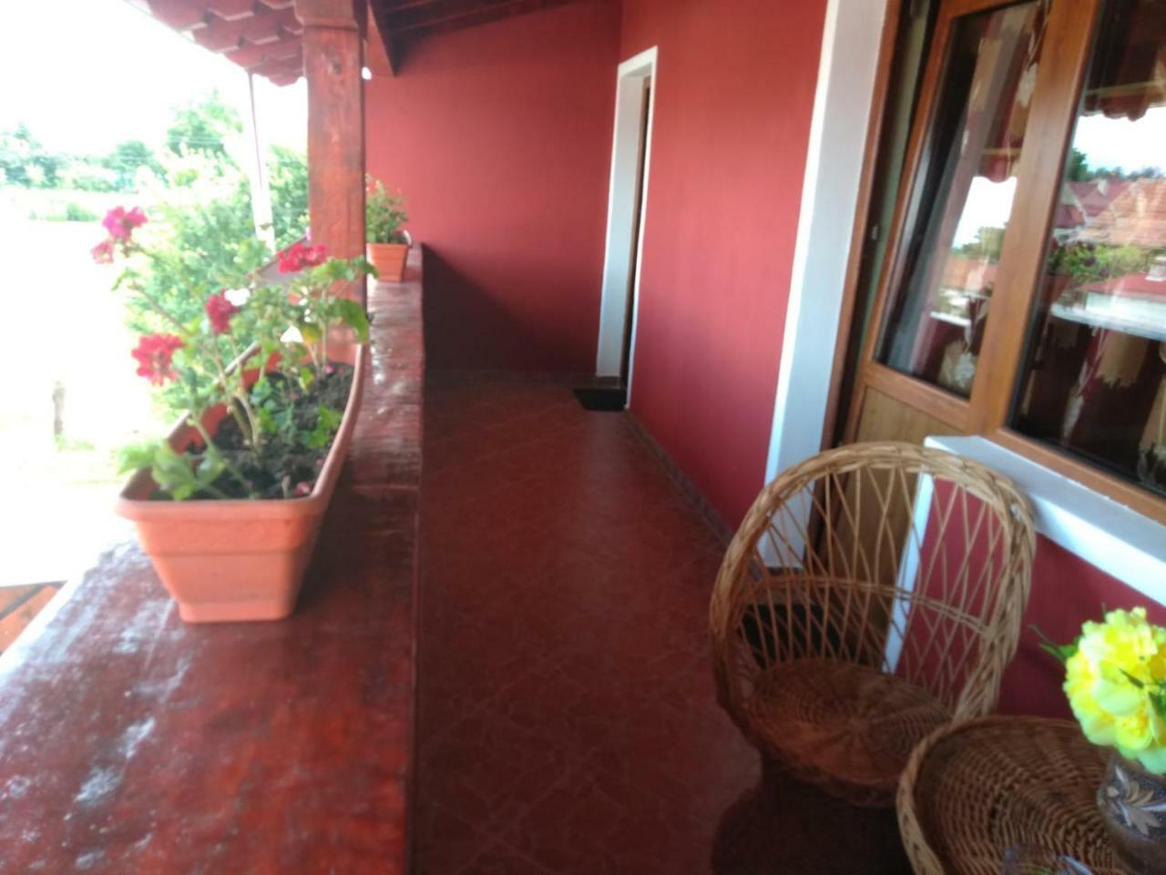 Casa Suzy & Roxy Apartment Arpasu de Jos Exterior photo