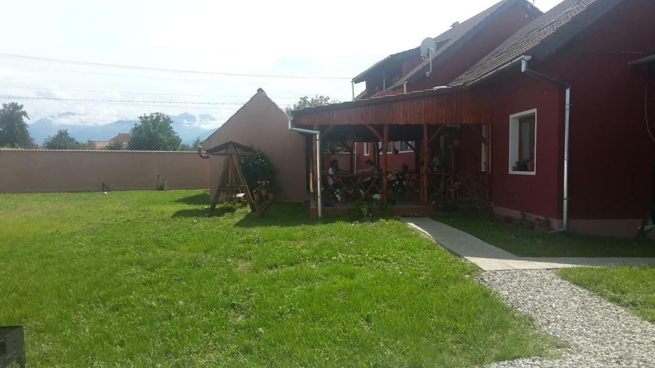 Casa Suzy & Roxy Apartment Arpasu de Jos Exterior photo
